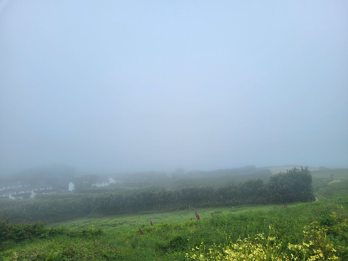 Amelia Mills (@ameliamills1) on Twitter photo Bit of a murky start to the day!!
Hopefully it'll burn off shortly!! 🤞
<a href="/FastboatScilly/">Endeavour Rib</a> <a href="/scillysailing/">Scilly Sailing</a> Bit of a murky start to the day!!
Hopefully it'll burn off shortly!! 🤞
<a href="/FastboatScilly/">Endeavour Rib</a> <a href="/scillysailing/">Scilly Sailing</a>