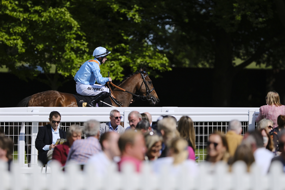 Join us for our final day at the Rowley Mile for Spring! Don't miss the exciting racing action on the track, entertainment, and more! Gates open: 1.45pm First race: 3.45pm Last race: 6.45pm 🎟️ Last-minute tickets are available on the gate. U18s go free.