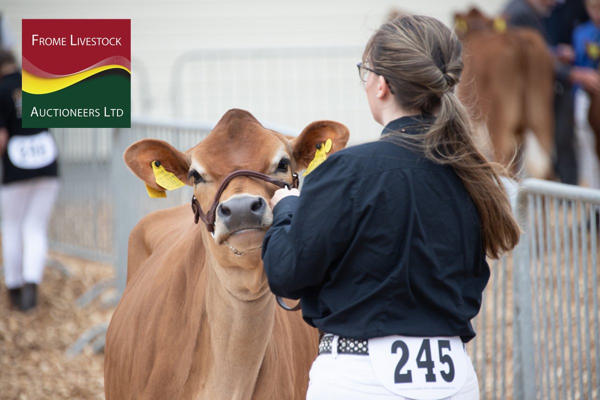 We're delighted to announce that Frome Livestock Auctioneers are sponsoring Livestock Cattle at the Royal Bath & West Show 2024 🐄 ⭐ A huge thank you for all your support ⭐ Book your tickets in advance and SAVE on the gate price ➡️ loom.ly/0tiF5n8