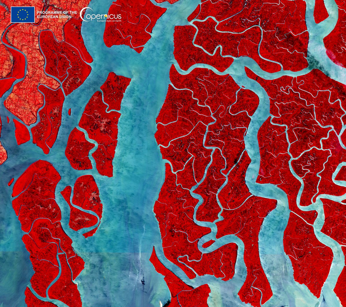 #DYK mangroves protect coastal communities from severe impacts of storms & floods? #Copernicus helps monitor these fragile ecosystems & how #ClimateChange affects them ⬇️Sundarbans National Park, the largest mangrove ecosystem in the 🌏, as seen by #Sentinel2 on 23 April