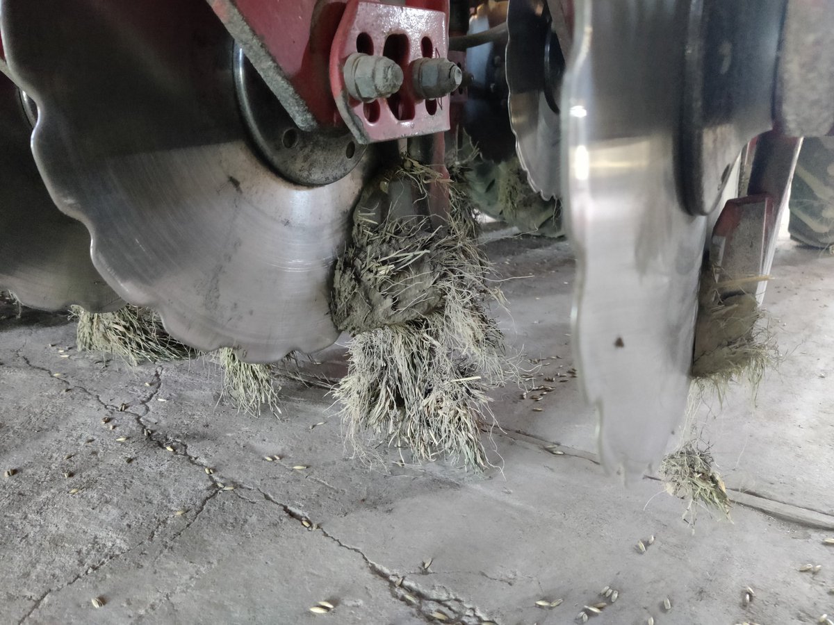 Väderstad Rapid ei ole parhaimmillaan kun on runsaasti heinäkasvin juuria.