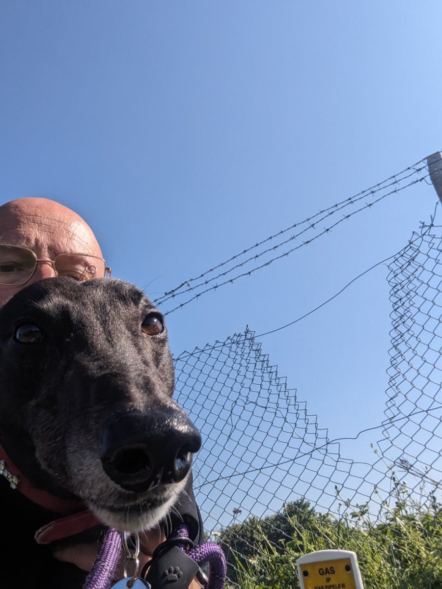 freaksquid5's tweet image. 