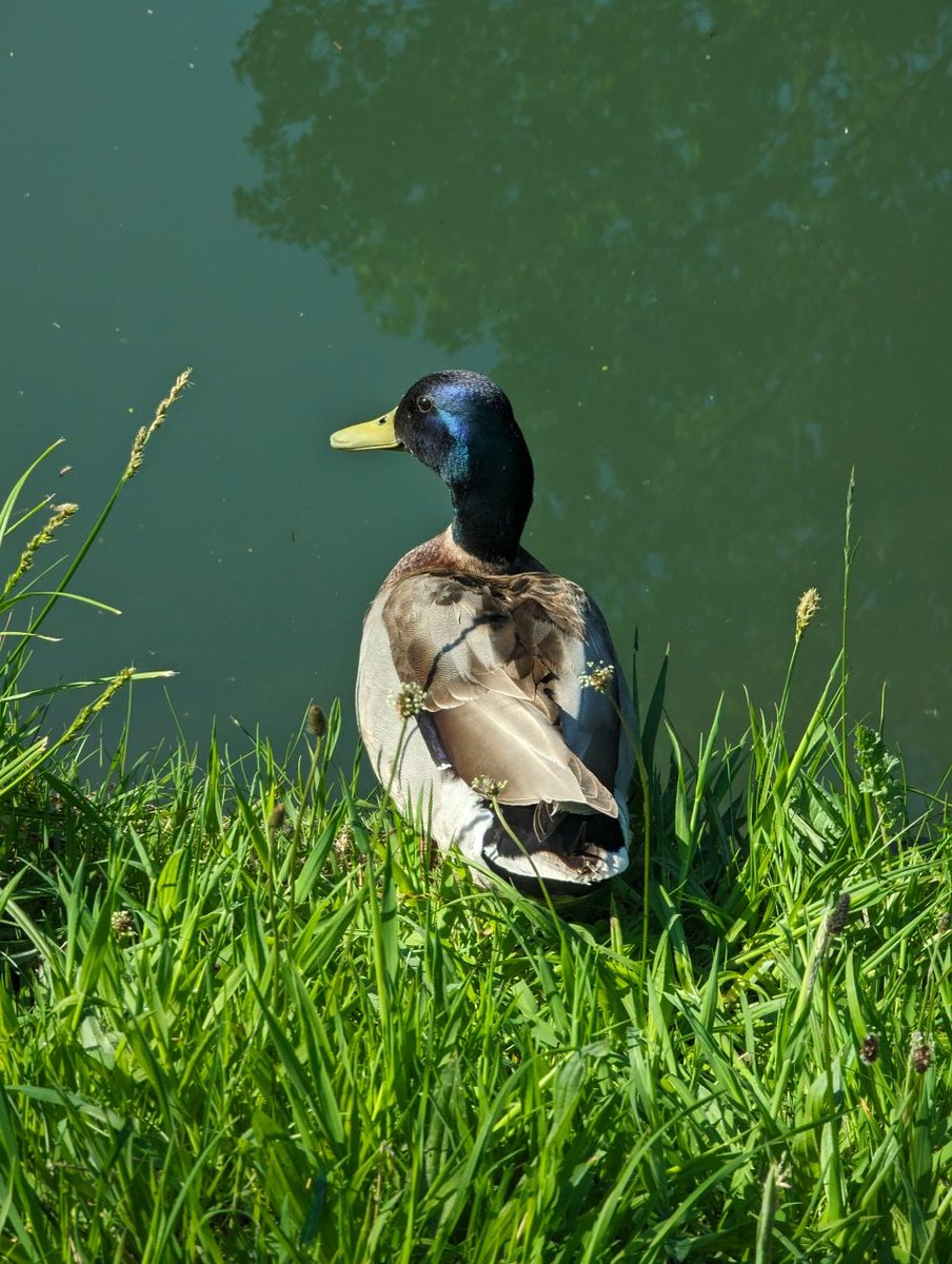 freaksquid5's tweet image. 