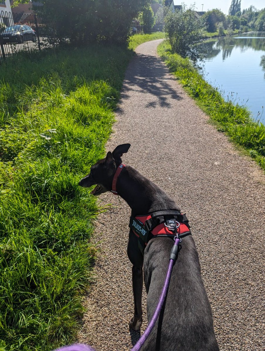 freaksquid5's tweet image. 