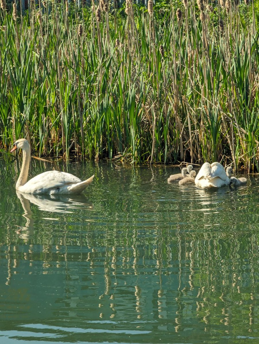 freaksquid5's tweet image. 