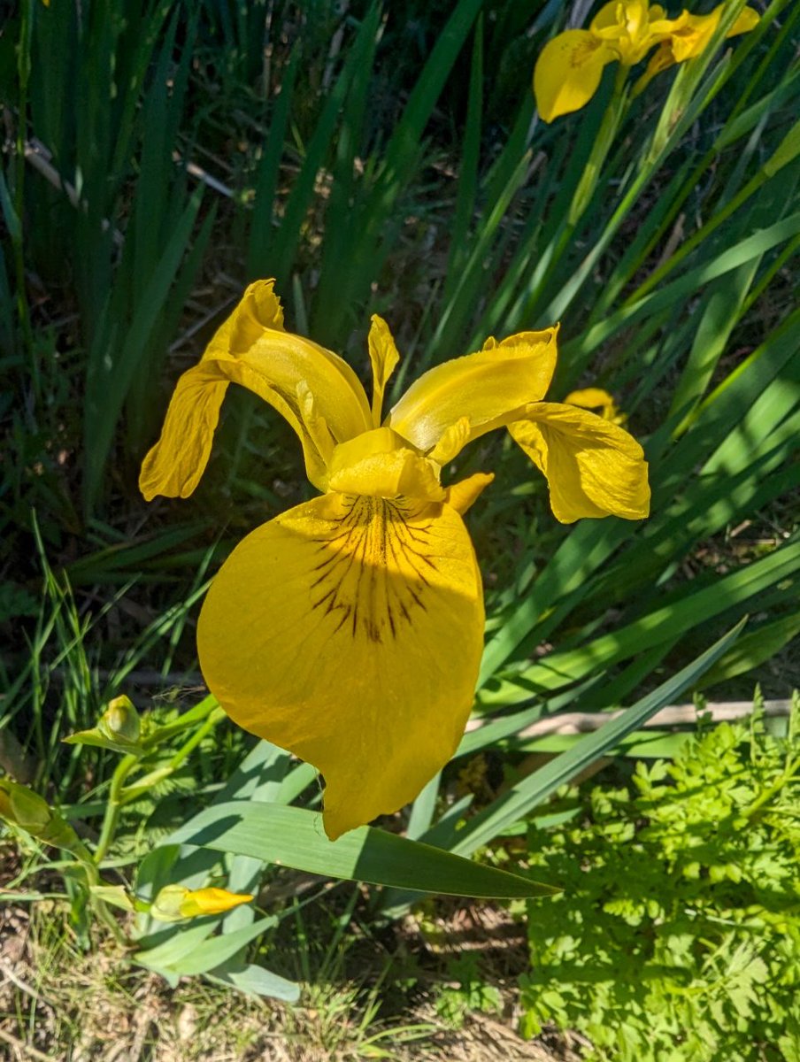 freaksquid5's tweet image. 