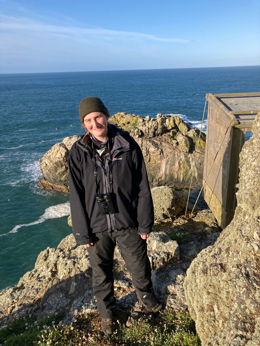 Finishing off my masters in a pretty place! Monitoring guillemots on Skomer