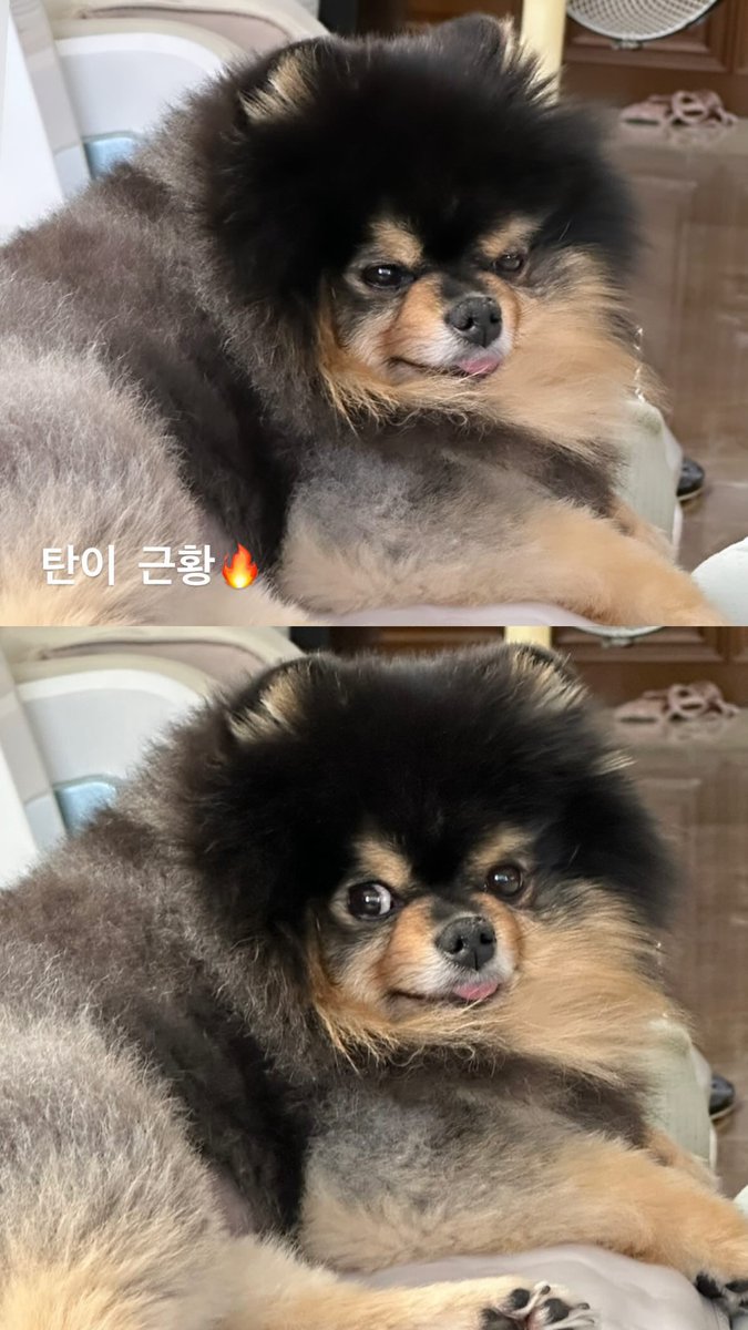 [thv] instagram story 

🐯 update🔥
🐯 tannie update 🔥