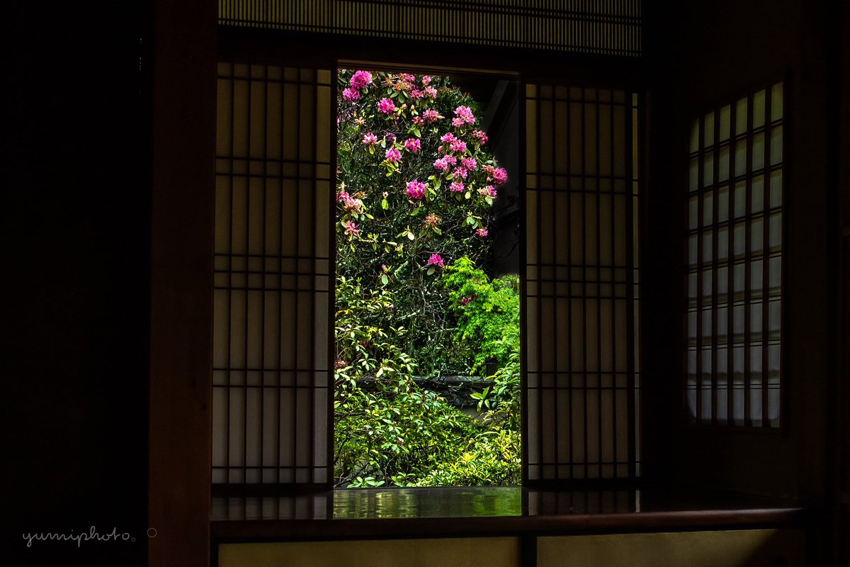 月窓の間 ☽︎ 悟りの間 ⚪︎◻︎ こちらにも 悟りの窓と迷いの窓があります*:ஐ(●︎˘͈ ᵕ˘͈) Location:Kyoto,Japan #新緑 #キリトリセカイ #photo_shorttrip #tokyocameraclub
