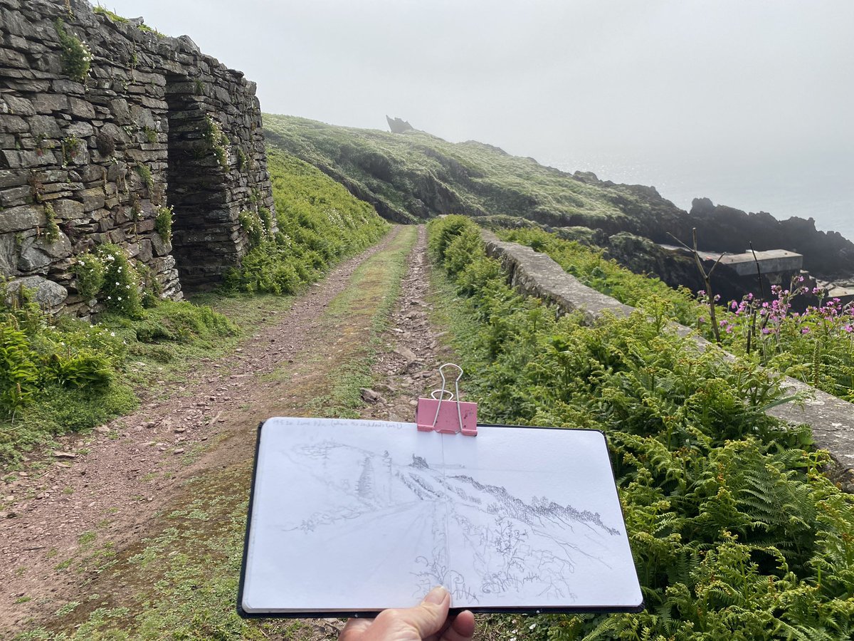 My last day has come too quickly. Gathering sketches as fast as I can whilst the mist swirls around me, gulls chortle to each other, an oystercatcher ‘peep peeps’, and seals call below. Love love this special place @SkokholmIsland