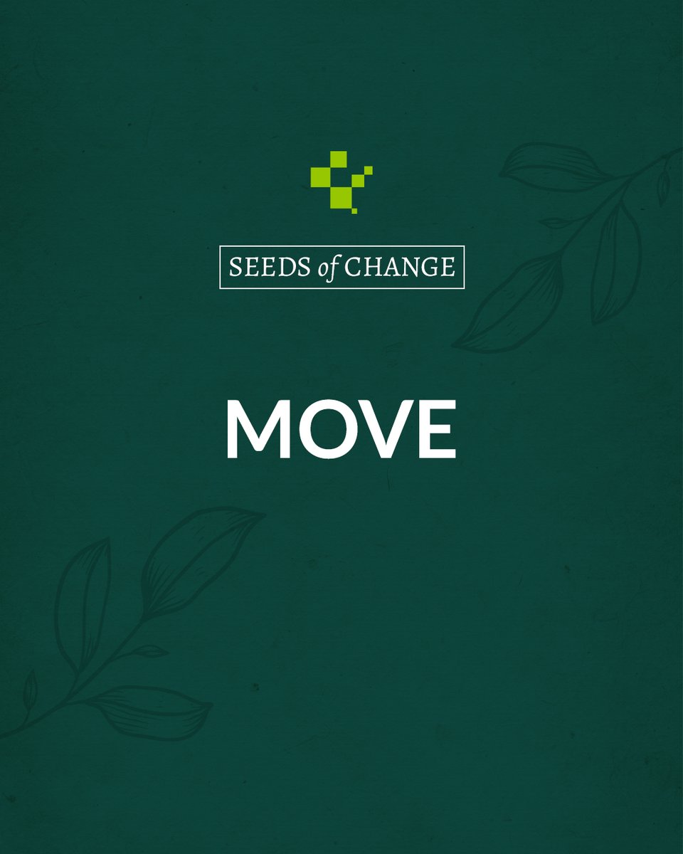 Get up and move your body! Take a walk, do some yoga, or dance around your living room. It doesn't matter how, just get that blood pumping. #SeedsOfChange #MoveItMoveIt #YogaEveryDamnDay #DanceParty