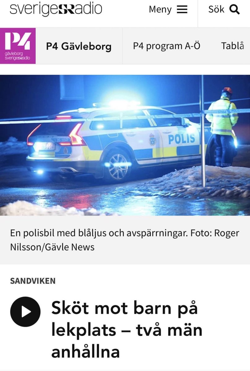 Det nya Sverige. Vuxna män roar sig med att skjuta prick med luftgevär på barn på lekplats. Vad i helvete. #svpol