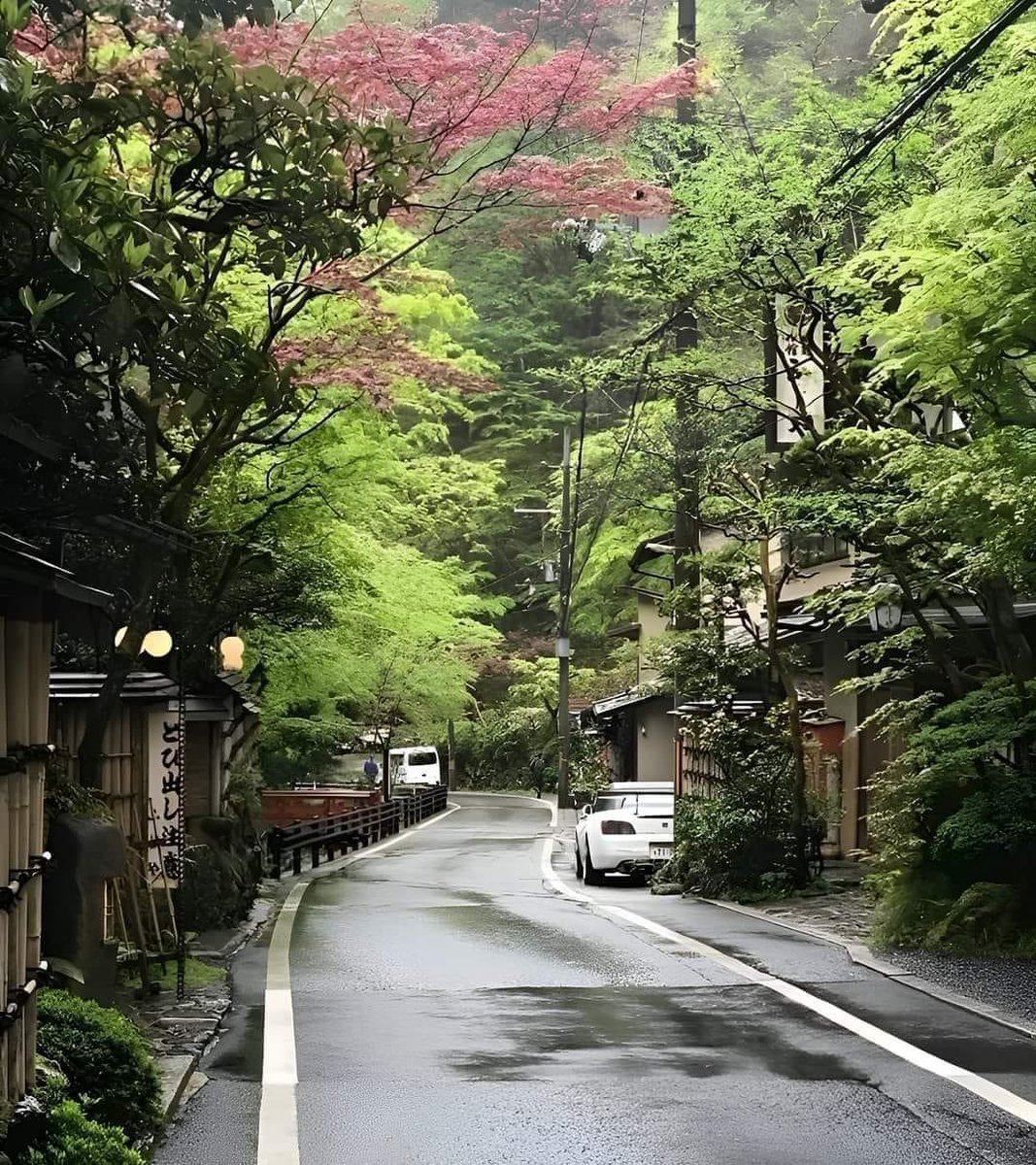 Kyoto, Japan 🇯🇵