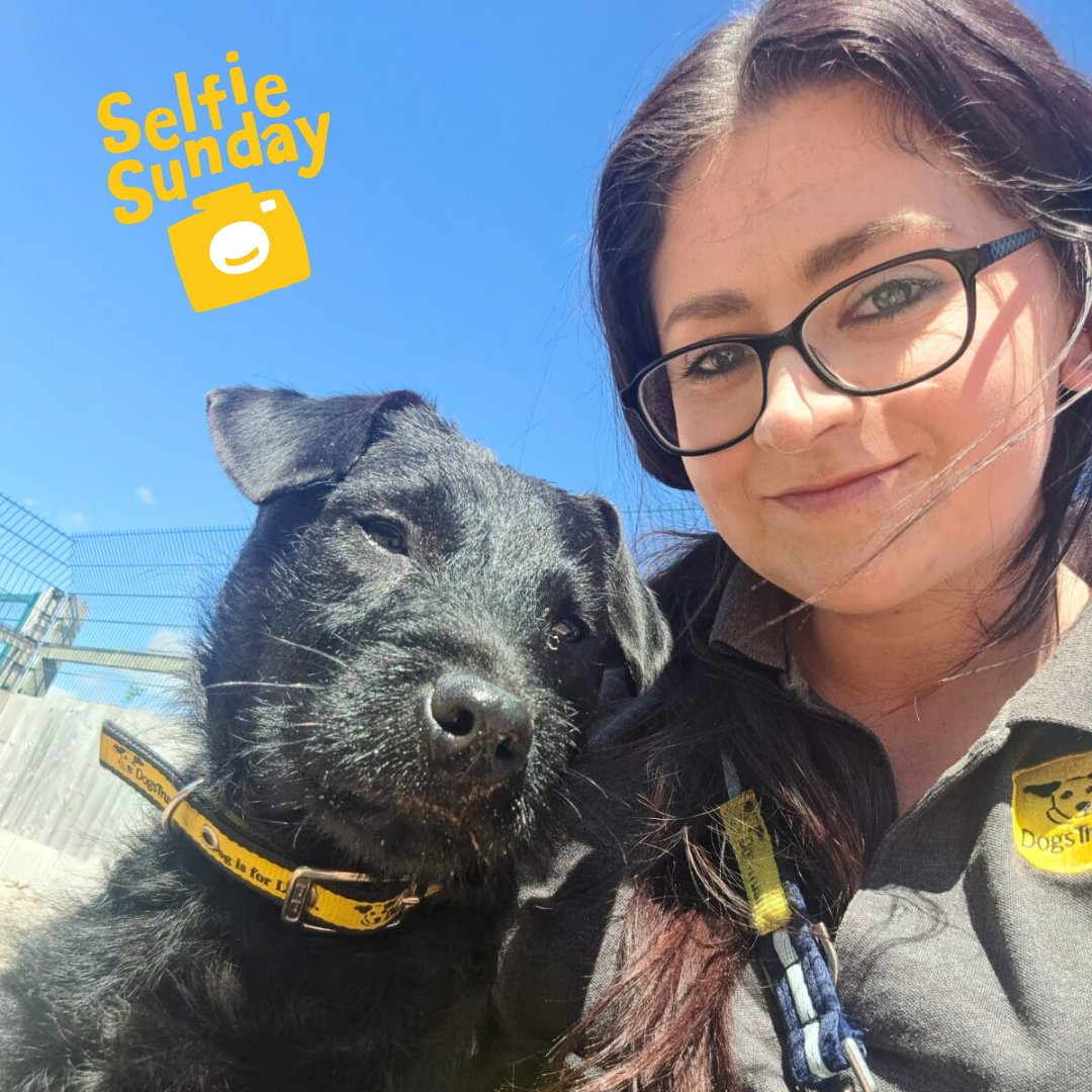 ☀️ It's a sunny #SelfieSunday with handsome Hamish and Kennel Supervisor Jessica 💛 Hamish has landed on all four paws and found his forever home! He is now living his best life 💞
⁣
#DogsTrust #DogsTrustCardiff #Selfie #adoptdontshop #adogisforlife #rescuedogsofinstagram