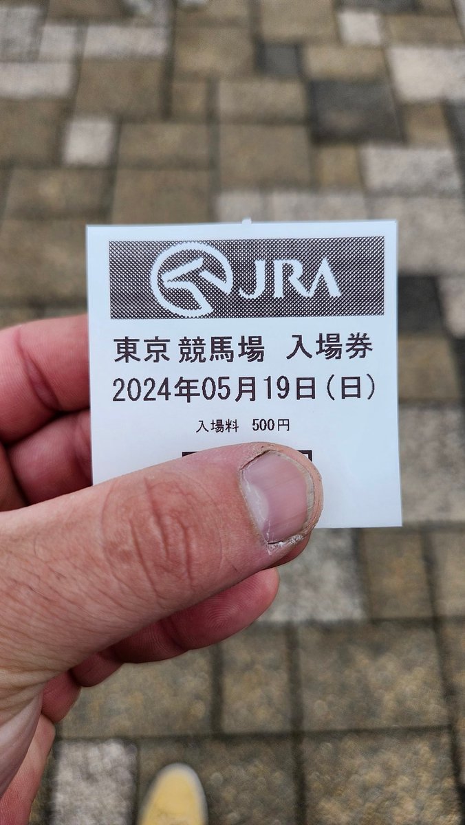 競馬🐴初現地観戦楽しかった〜🤣賭けた馬負けちゃったけど現地だと応援し甲斐あるし、臨場感があってさらに楽しいわ🤣 #オークス #G1レース #JRA #競馬 #東京競馬場