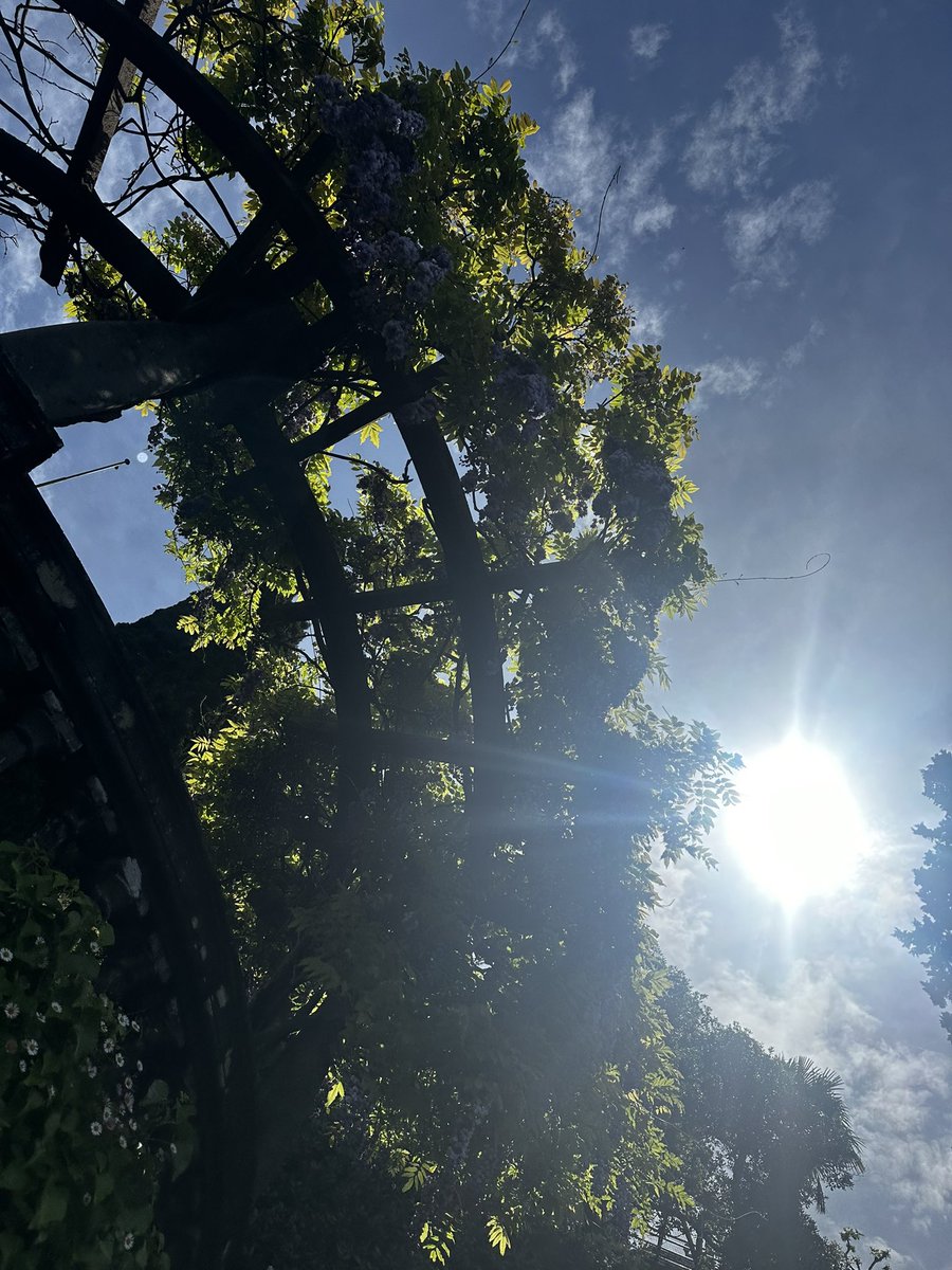 xartemia's tweet photo. Italy 🥰 https://t.co/XiTAyveykm