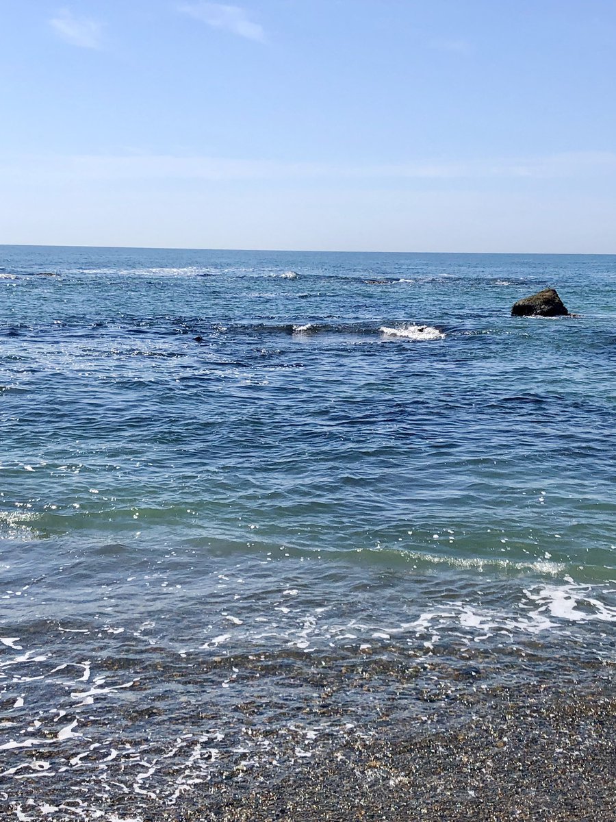 boutsu08's tweet image. 海に行ってきたわ！