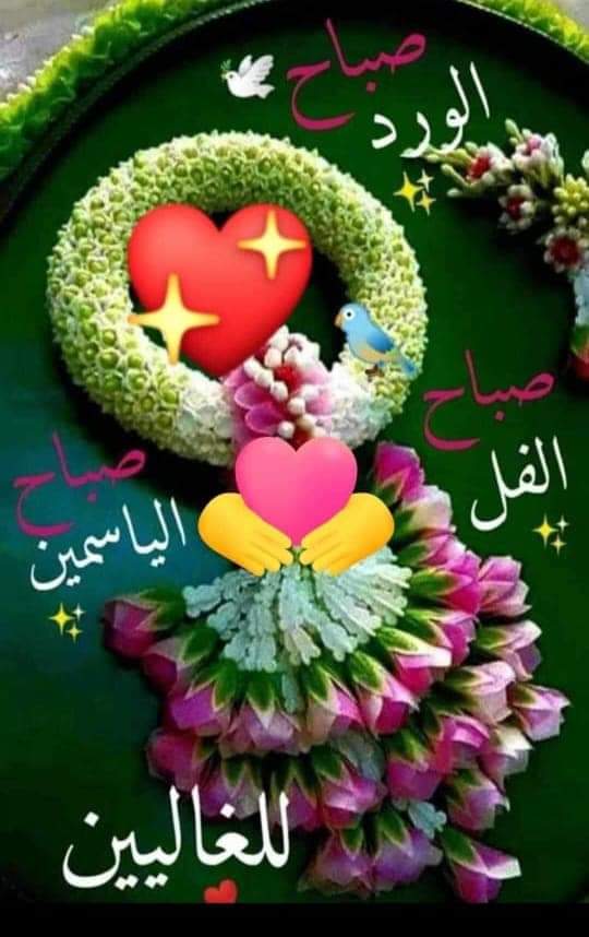 كبرنا حتى بلشنا نشيب وبعدنا صغاار!
صرنا نشيل مسؤوليات مش وقتها هلأ 
وبتمر أيامنا ما منعرف فيها طعم النوم والراحة بتغفى هالعيون والعقل شغال 
من ناحية قلق ومن ناحية تانية خوف ومن ناحية تالتة افكار مشتتة 
منزرع الامل رغم انو الامل مابيكبر بسرعة
تعلمنا الصبر ورح نصبر
#صباح_الخــــير