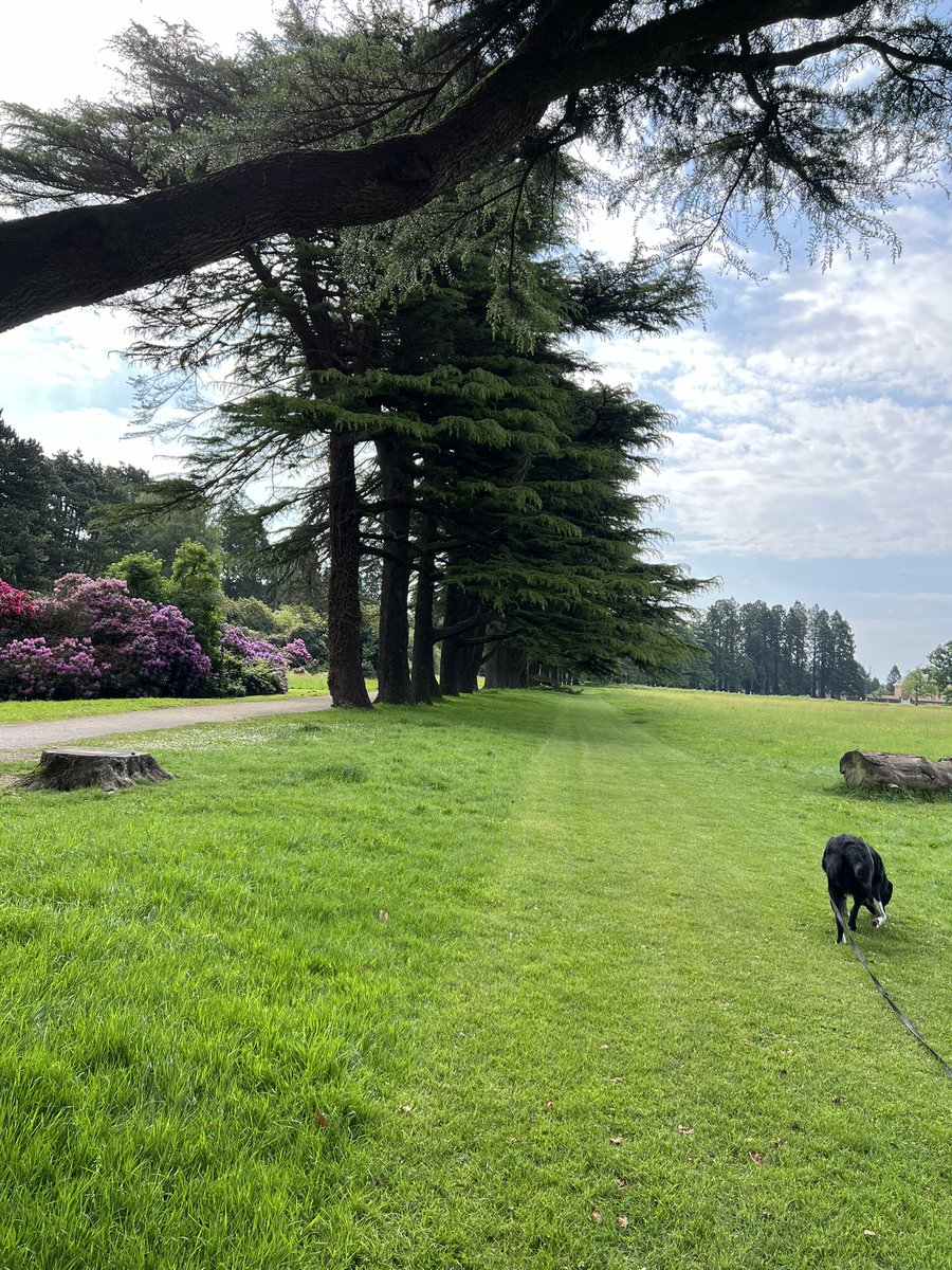 As we’re still exploring Newport, finding little gems like this make it feel more and more like home everyday! 

*aware Tredegar house is more of an obvious one, but the little zero waste shop was new to me! 🛍️🪴

serozerowaste.com