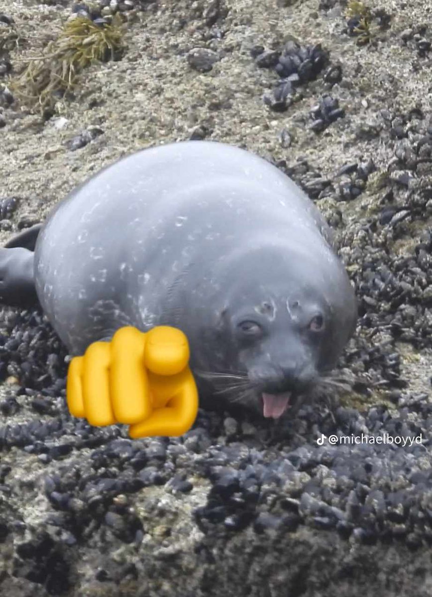 DistortedImages's tweet image. || You expected Syn but it was ME! Jake!