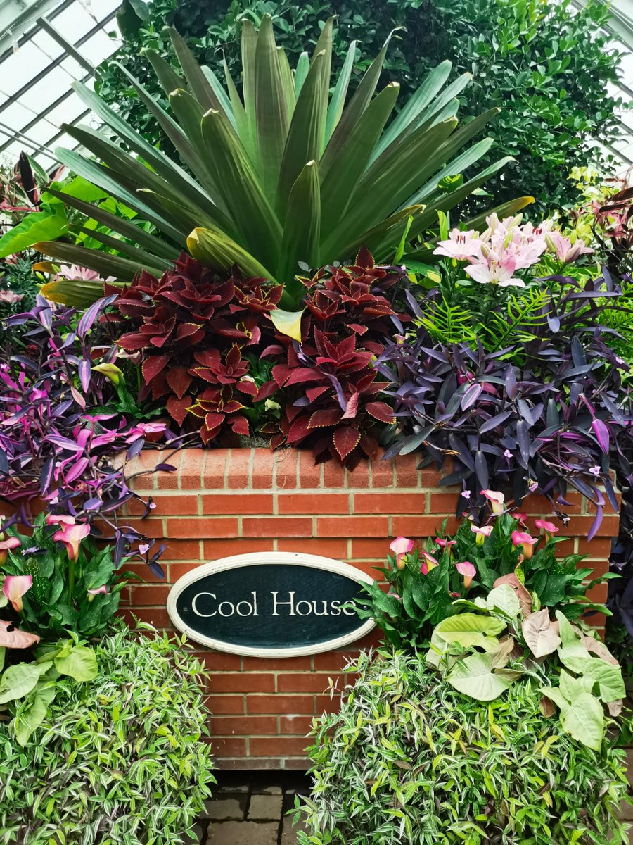 twED_1's tweet image. A nice Sunday visit to Brown Hart Gardens😊😇👌