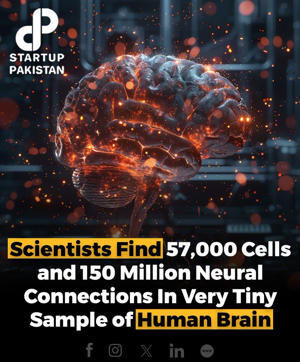 A team led by scientists from Harvard and Google has developed a 3D, nanoscale-resolution map of a single cubic millimeter of the human brain that contains approximately 57,000 cells, 230 millimeters of blood vessels, and nearly 150 million synapses.

#neurons #neurology #science