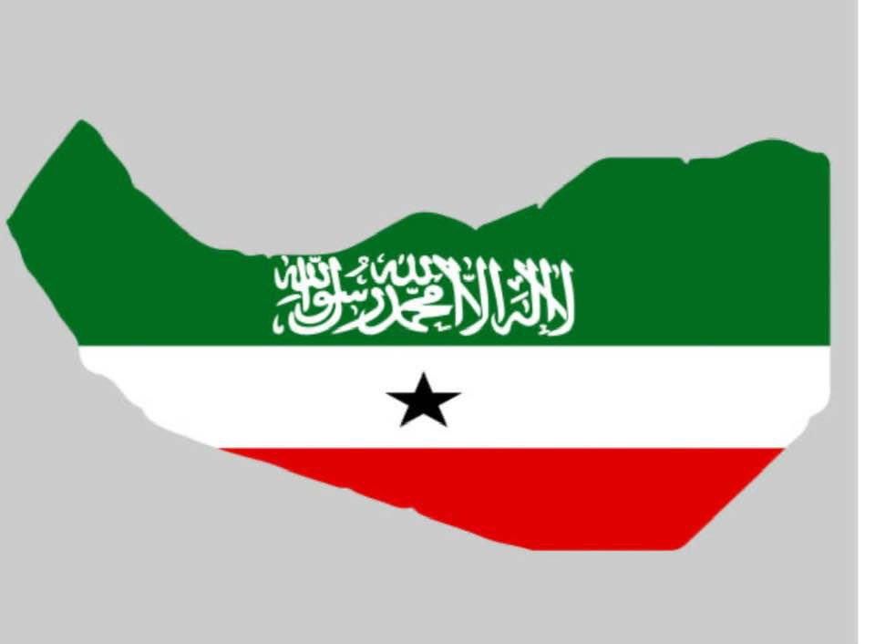 Guul iyo gobonimo. Midnimada ay muujiyeen 8 million ee Reer Somaliland . Maalinta qaran ee 18 May.