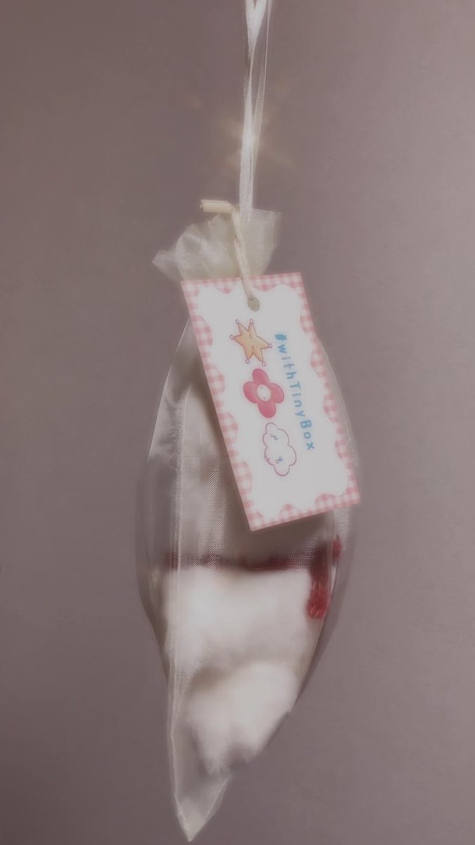 terracotta_3's tweet image. ぬいぐるみほんとに可愛い😭😭😭💞💞💞素敵な作品に出会えて良かったです、ずっと大事にします🥹
#withTinyBox 🎀💞🪄︎︎◝✩