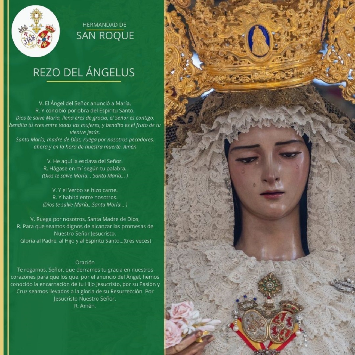 🟢Rezo del Ángelus |

🙏Tú, que en la anunciación del Ángel nos has revelado la encarnación de tu Hijo, por su pasión y su cruz condúcenos a la gloria de la resurrección.
#HdadSanRoque