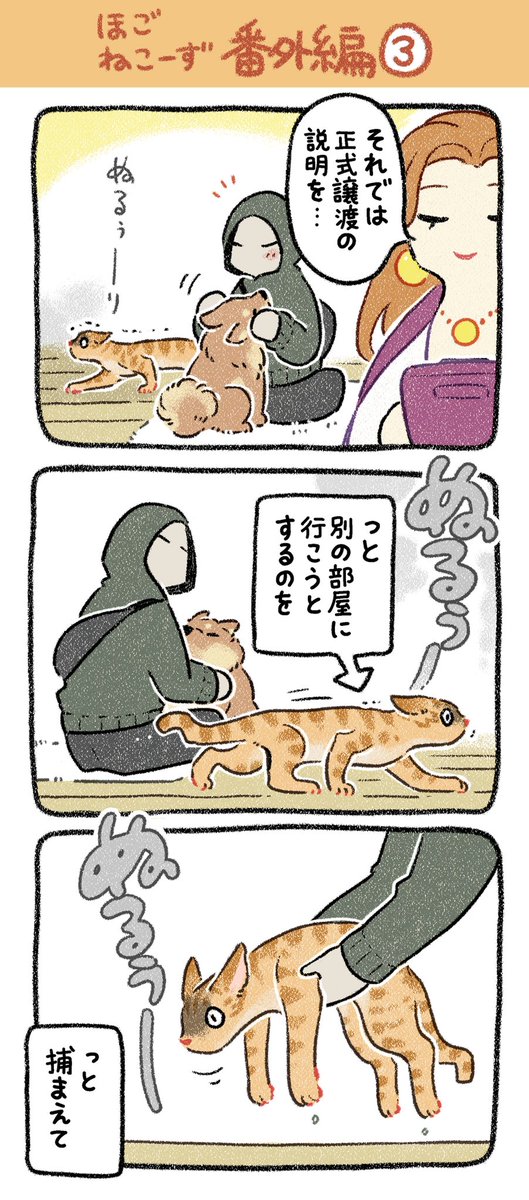 ほごねこーず番外編【第3話】
ぬるぅーーーり
#漫画が読めるハッシュタグ #猫 