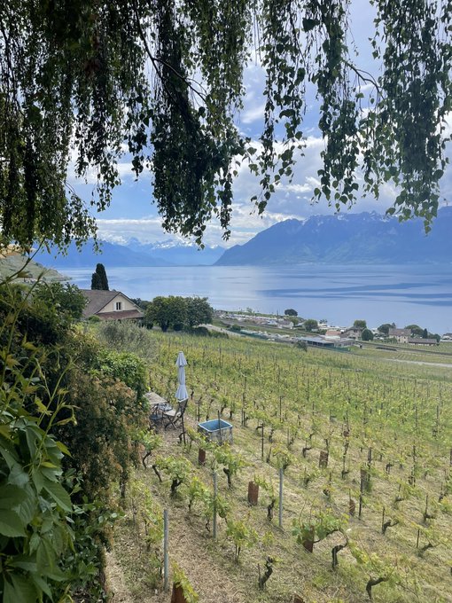 Yesterday&rsquo;s exploration of the wineries in Lavaux 🇨🇭✨🤩🍷  These sceneries are magnificent 😍✨✨✨✨ https://t