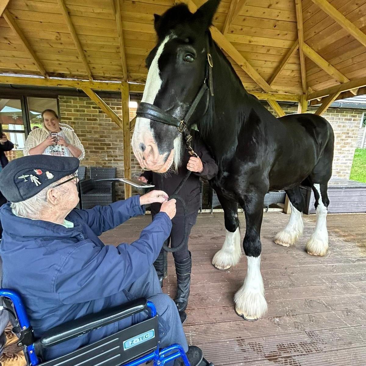 A wish come true... 🐴

Thank you to Horse Farm Equestrian Centre Ltd who helped us grant a wish!

Ray used to work on a farm with shire horses and always wanted to see one up close again

Incredible wishes like this are the reason that Wishing Hearts was founded ❤ 

#Charity