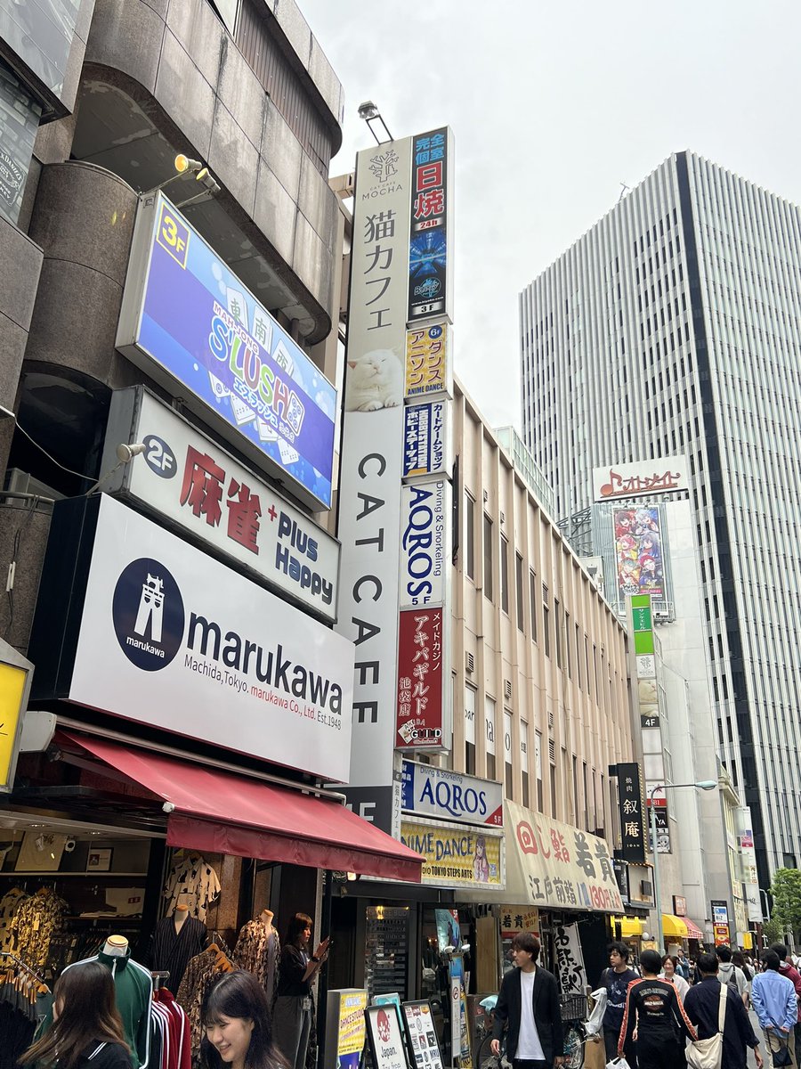 gusgofficial's tweet image. So I visited Mocha Cat Cafe in Ikebukuro today. Lots of cool cats  there but quite crowded place. Nevertheless I’m glad I spent my last few hours in Tokyo there :) on my way back home now, Japan you’ve been so awesome once again! Arigato gozaimashta 🙏❤️