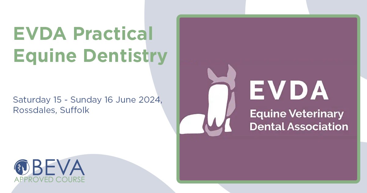 Have you booked your place at BEVA Approved: EVDA Practical Equine Dentistry yet? Don't miss this two-day, highly practical course focusing on dental examination, rasping, periodontal disease and more. Book now with 50% off as a BEVA member - bit.ly/49RyqvO