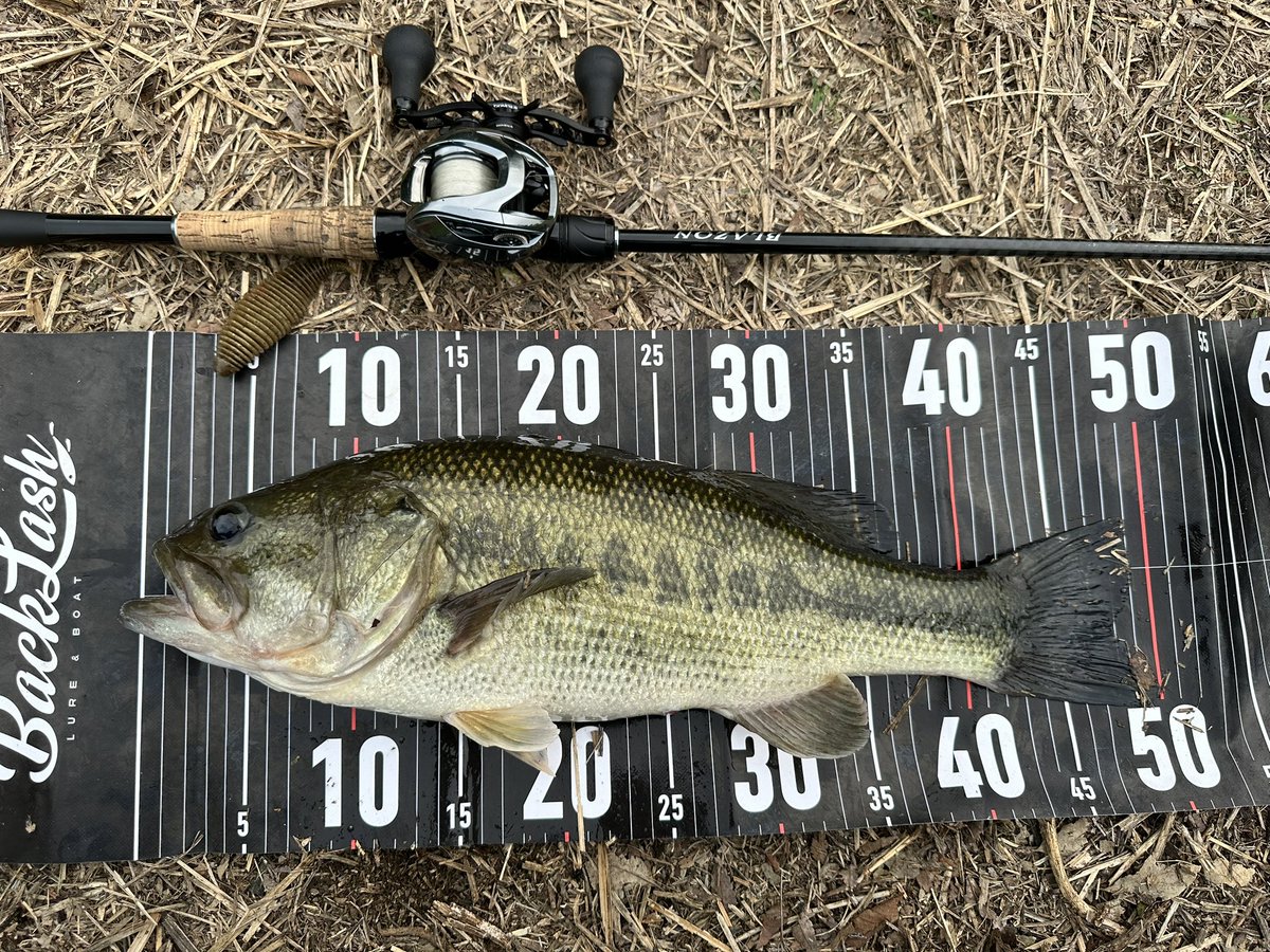 donrum9's tweet image. ギリ50届かず😂
このロンT着てる時
釣れてる気がする🙄
#ベローズシャッド
#ICK