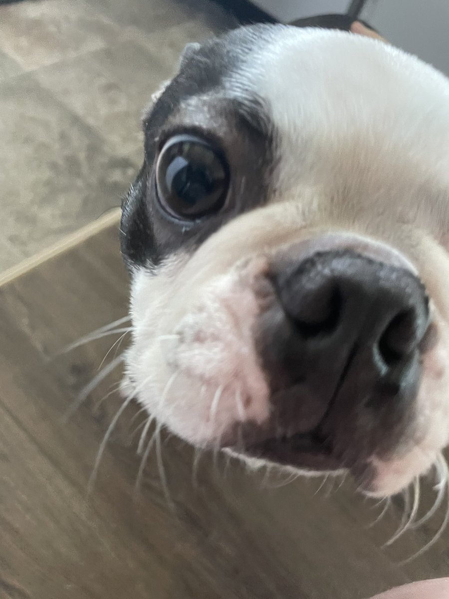 we’ve been trying to reach you about your car’s extended warranty