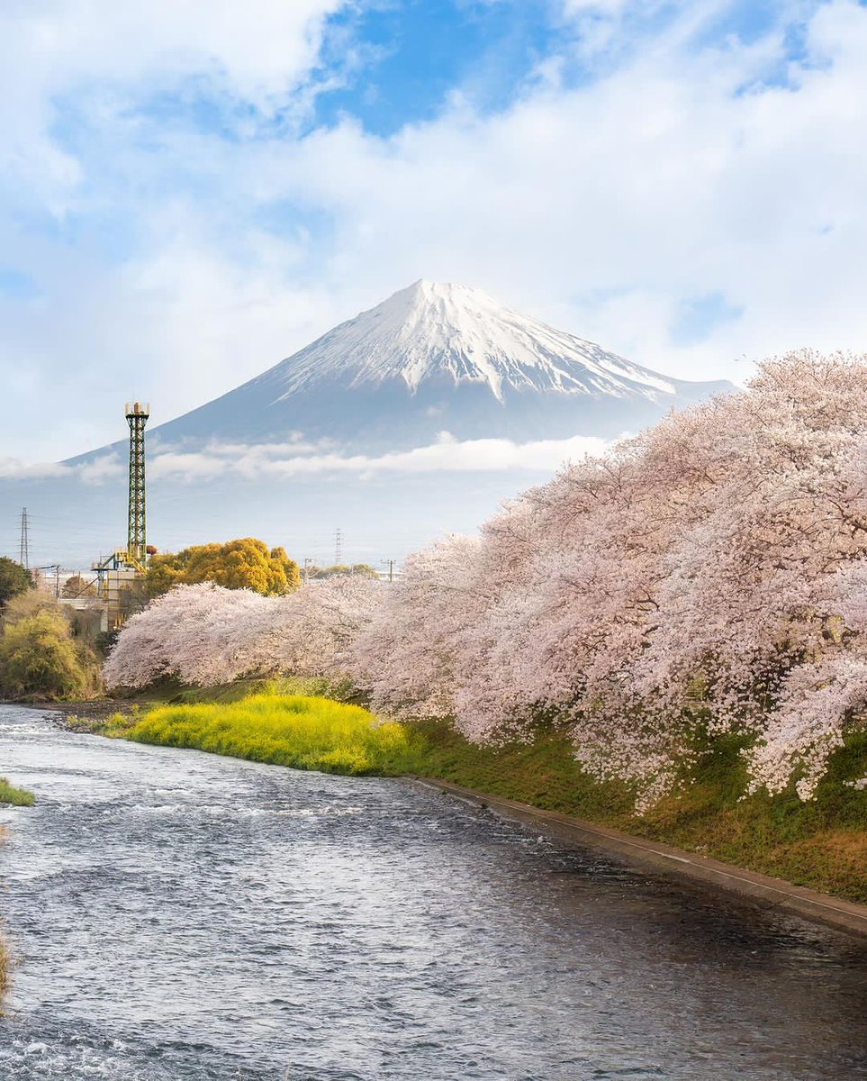 Mount Fuji