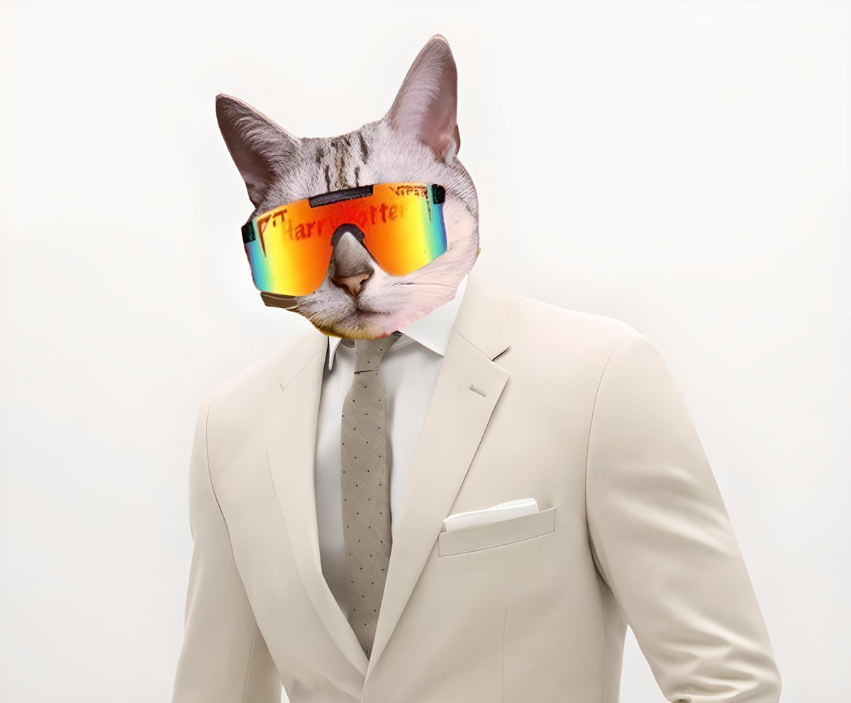 No.1 Cat on Solana is getting ready for reversal 📈