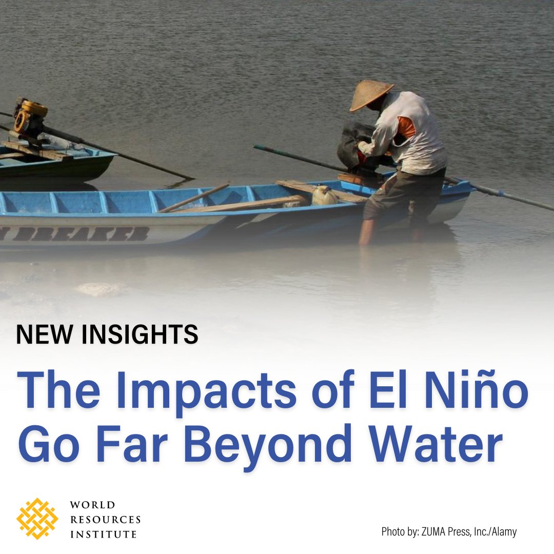 Over the past several months, the climate pattern #ElNiño has disrupted different regions and sectors across the world🌍 Examine the ripple effects of El Niño-fueled drought across 3 countries▶️ bit.ly/4dqTYSZ