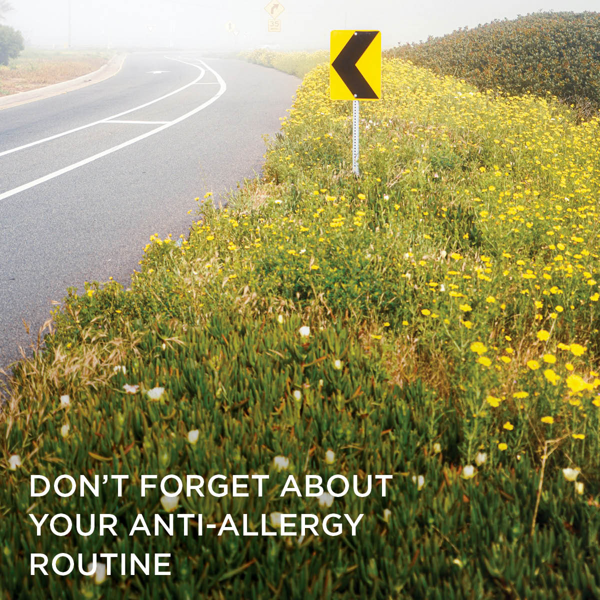CarolinaIntl's tweet image. Fun Fact/ Seasonal Tip: Spring is the perfect time to roll your windows down &amp;amp; enjoy the drive. Remember, pollen &amp;amp; allergens can be a problem. Be sure to stock eyedrops &amp;amp; non-drowsy allergy medication to keep you sneeze-free &amp;amp; breathing easy. 🚚 🌸

#SpringDriving
