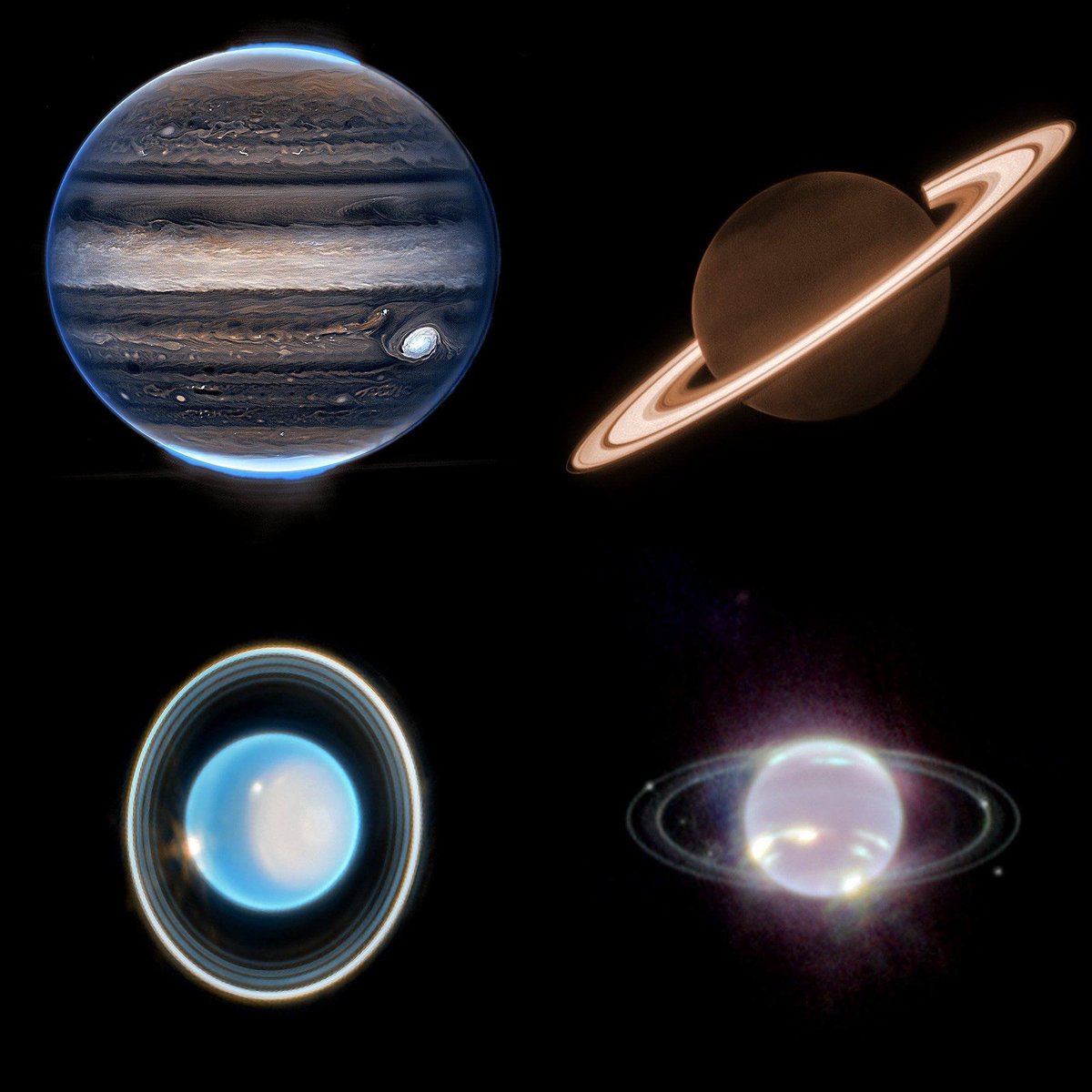 All four gas giants captured by the James Webb Space Telescope