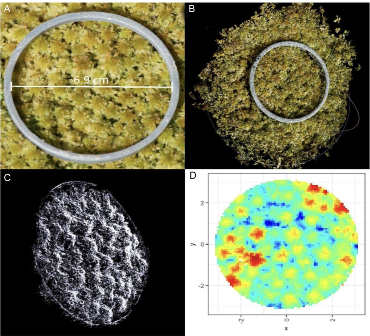 Botanical Society of America (@botanical_) on Twitter photo Variations in water economy traits in two #Sphagnum species across their distribution boundaries
New #AJB research by Charles Campbell, Gustaf Granath & Håkan Rydin
doi.org/10.1002/ajb2.1… #botany #ecology <a href="/wileyplantsci/">Wiley Plant Science</a> <a href="/WileyEcolEvol/">Wiley Ecology & Evolution</a> Variations in water economy traits in two #Sphagnum species across their distribution boundaries
New #AJB research by Charles Campbell, Gustaf Granath & Håkan Rydin
doi.org/10.1002/ajb2.1… #botany #ecology <a href="/wileyplantsci/">Wiley Plant Science</a> <a href="/WileyEcolEvol/">Wiley Ecology & Evolution</a>