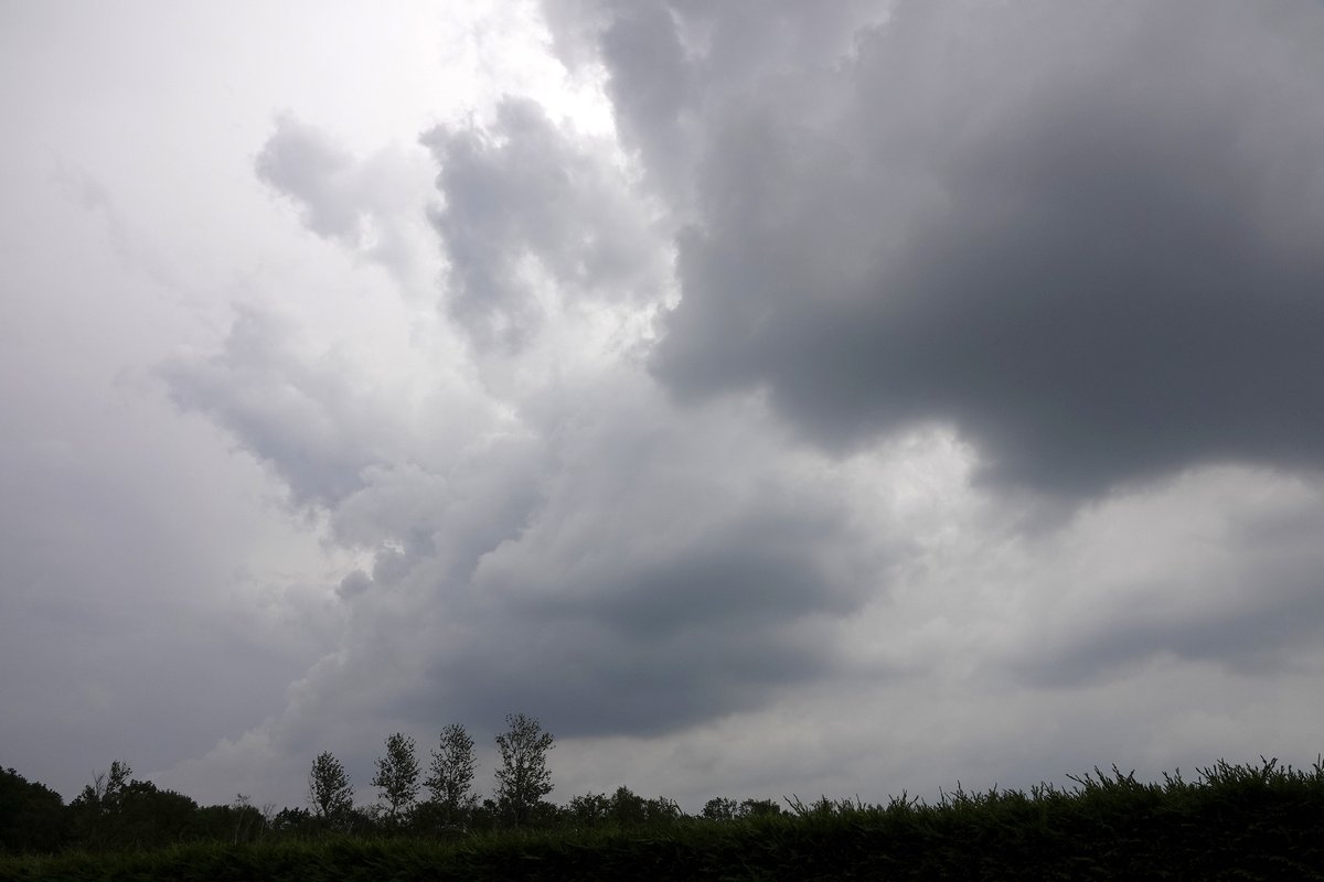 #vrtweer goedemiddag, opkomende onweersbuien vanmiddag om 16.34u.-16.43u. in Hamont-Achel!