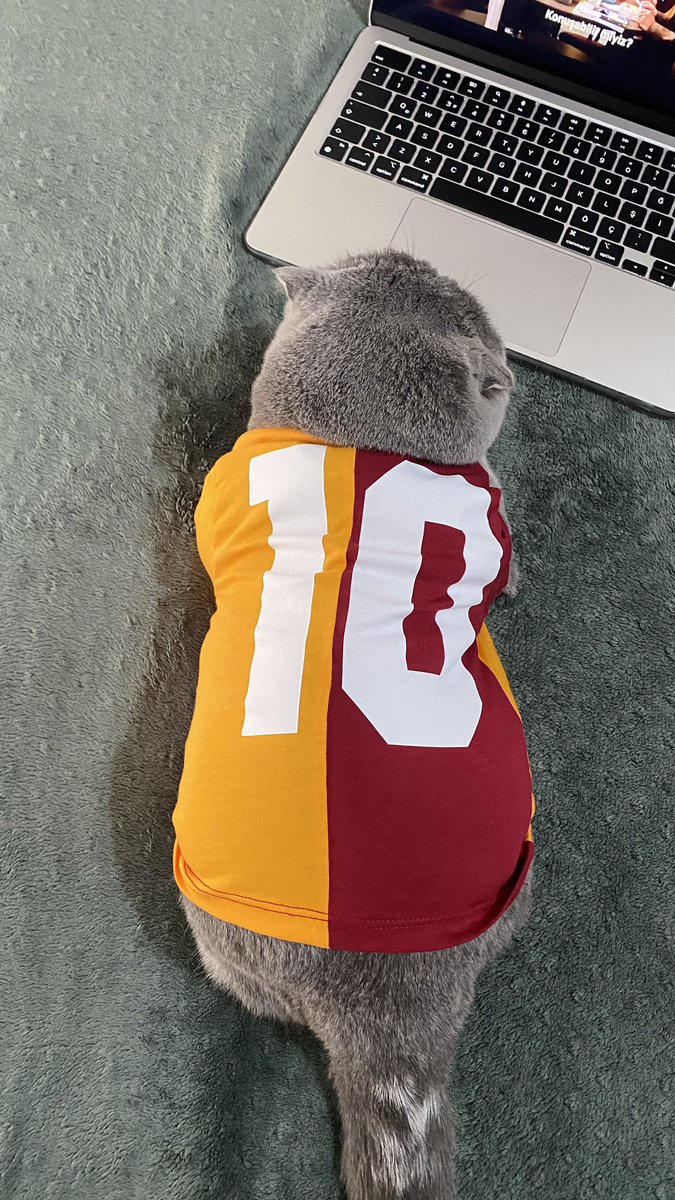 seymaacisu's tweet photo. Biz maça hazırız 💛❤️🥺 #galatasaray https://t.co/K4BbtgxnNW