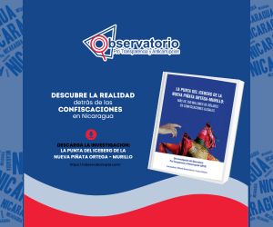 optanicaragua's tweet photo. 🚨 Alerta: Derechos en Riesgo en Nicaragua 🚨

Descubre 5 formas en que las reformas constitucionales están vulnerando derechos. Confiscaciones y desnacionalizaciones injustas revelan abusos de poder. 📜✊

👉 ¡Actúa ahora! Visita https://t.co/vgjk4dTdf3 y descarga el estudio completo. ¡Únete a nuestra causa!

#JusticiaParaNicaragua #Transparencia