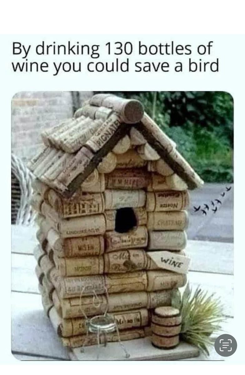 #HappySunday 240 for a duplex 🐤🐦