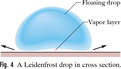 Leidenfrost Effect: เมื่อหยดน้ำหรือวัตถุชุ่มน้ำถูกวางลงบนพื้นผิวที่อุณหภูมิสูง จะทำให้น้ำระเหยกลายเป็นไอน้ำทันทีและดันให้หยดน้ำหรือวัตถุชุ่มน้ำลอยอยู่เหนือพื้นผิวร้อน ๆ เราจึงได้เห็นสับปะรดเด้งไปมา
สับปะรดไหม้ช้าเพราะถูกไอน้ำดันให้ลอยขึ้นและได้สัมผัสกับความร้อนในระยะเวลาที่น้อย