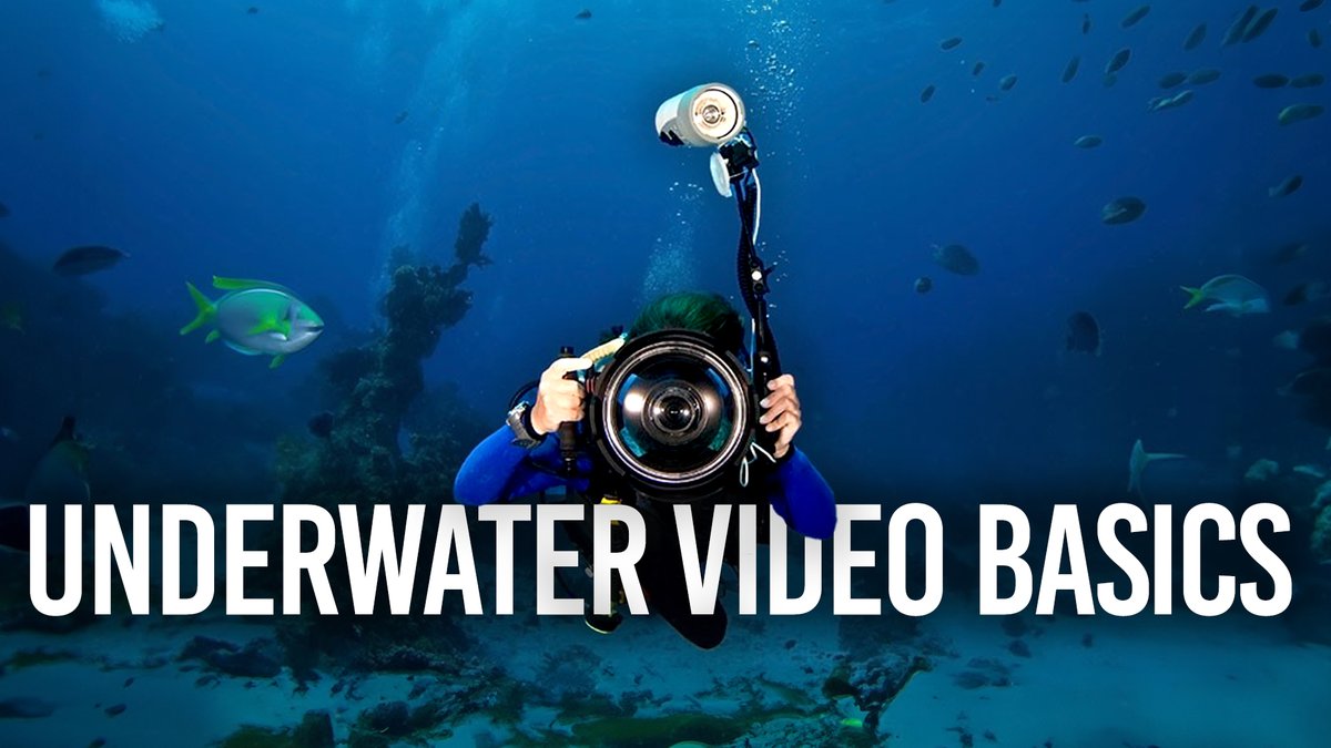 Dive into the world of underwater video creation, from the gear you’d need, to tips for getting the perfect action shot ⤵️ bhpho.to/3yluIxx