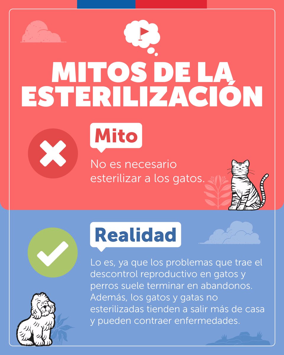 ¿Ya esterilizaste a tu gato? 🐈 Hacerlo es parte importante de una tenencia responsable para evitar la sobrepoblación, mejorar su calidad de vida y evitar enfermedades ✅.