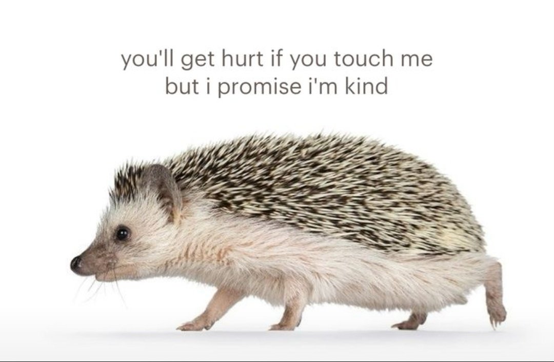 hellwwn's tweet image. literalmente eu